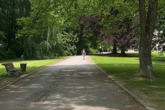 Anglický park v Betliari