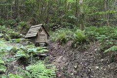 IMG_9835