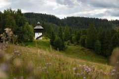 Velke-Borove