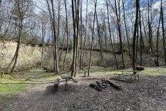 IMG_6582