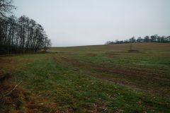 Sirne-oko-1