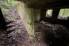 IMG_4056