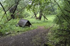 IMG_4060