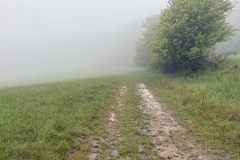 IMG_4080