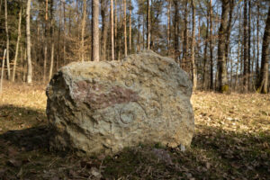 Keltský stromový horoskop na Slovensku: Kde ho nájsť?