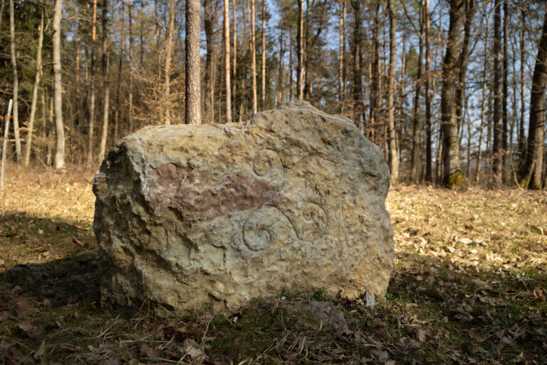 Keltský stromový horoskop na Slovensku: Kde ho nájsť?